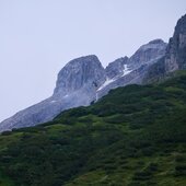 WALDBRAND