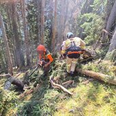 WALDBRAND