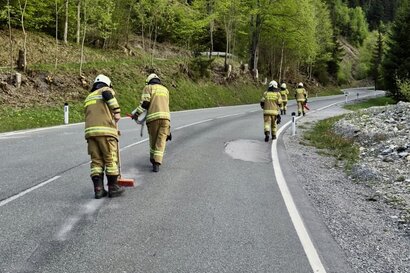 ÖLSPUR