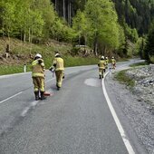 ÖLSPUR