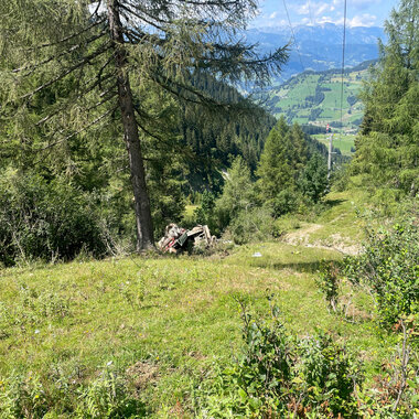 FAHRZEUGBERGUNG