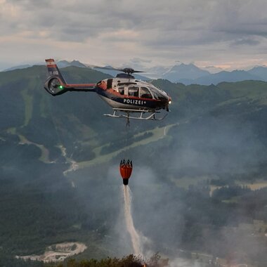 WALDBRAND
